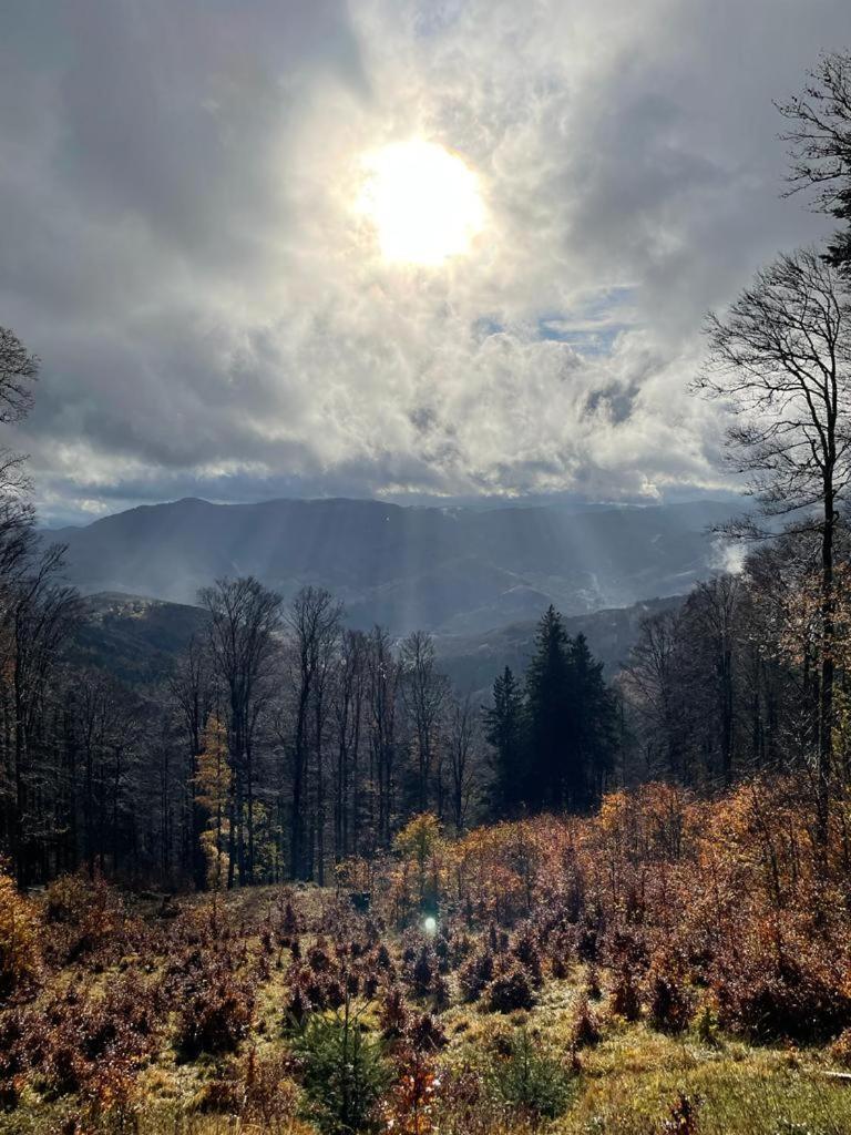 Le Spitzacker Gite Familial Au Calme Husseren-Wesserling Exterior foto