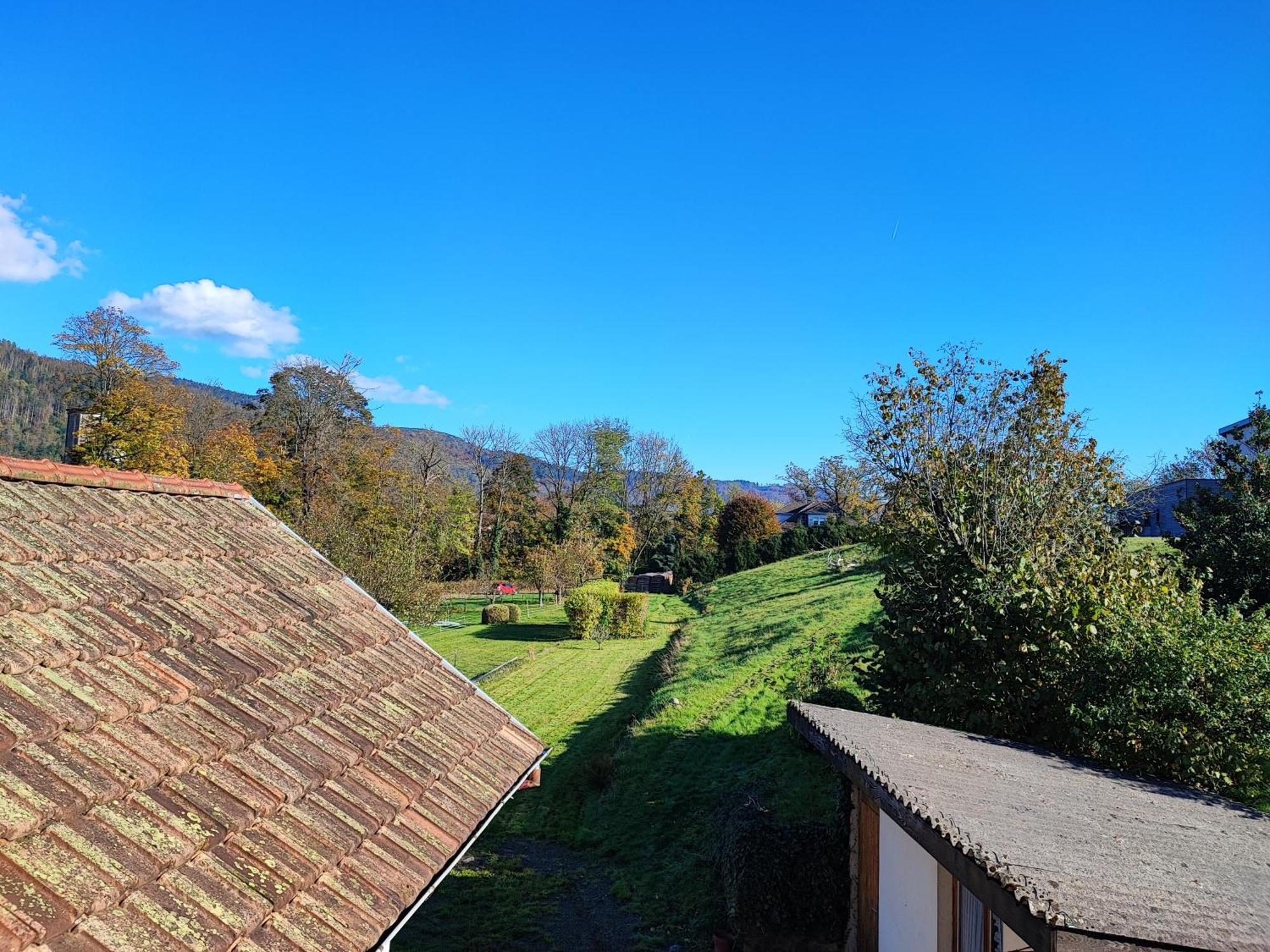 Le Spitzacker Gite Familial Au Calme Husseren-Wesserling Exterior foto