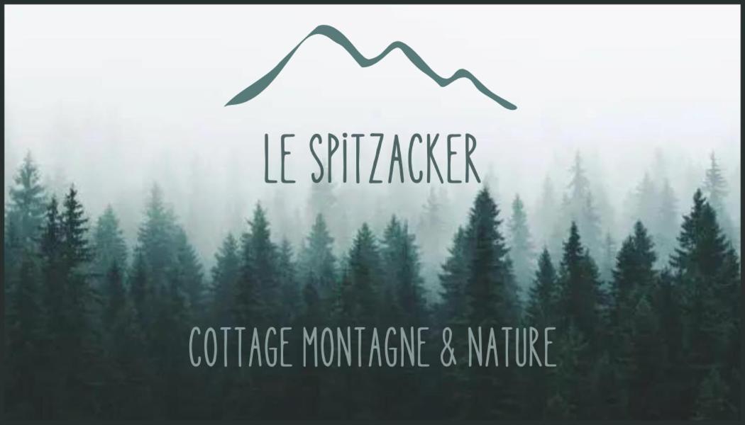 Le Spitzacker Gite Familial Au Calme Husseren-Wesserling Exterior foto